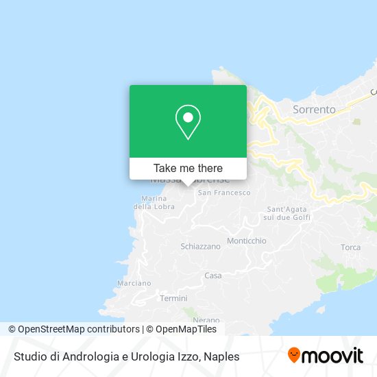 Studio di Andrologia e Urologia Izzo map