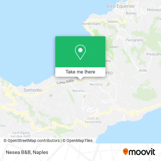 Nesea B&B map