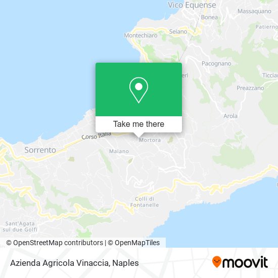 Azienda Agricola Vinaccia map