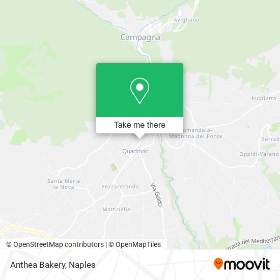 Anthea Bakery map