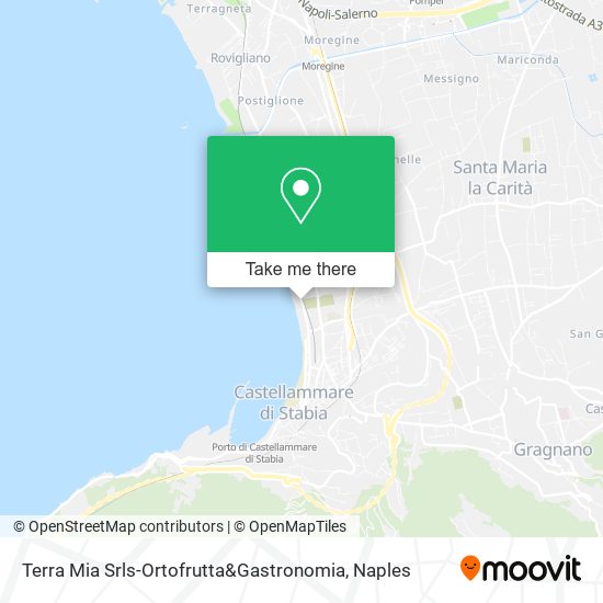 Terra Mia Srls-Ortofrutta&Gastronomia map