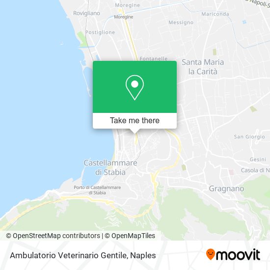 Ambulatorio Veterinario Gentile map