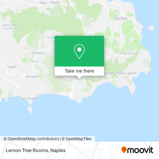 Lemon Tree Rooms map