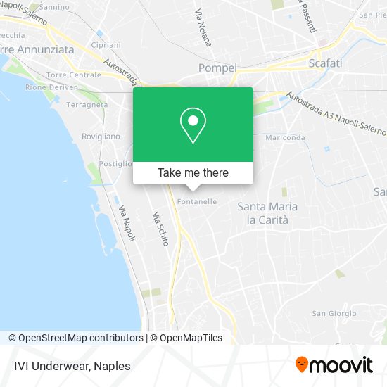 IVI Underwear map