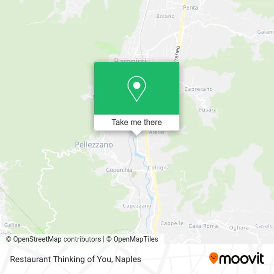 Restaurant Thinking of You map