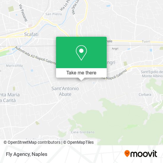 Fly Agency map