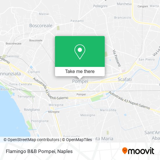 Flamingo B&B Pompei map