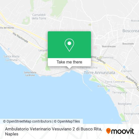 Ambulatorio Veterinario Vesuviano 2 di Busco Rita map