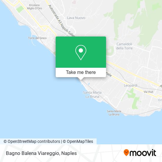 Bagno Balena Viareggio map