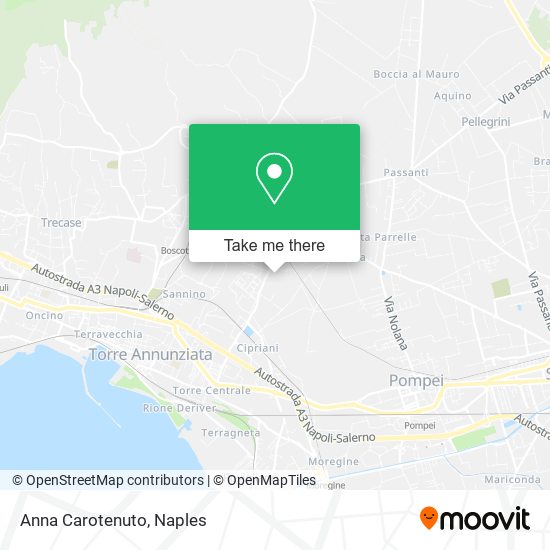 Anna Carotenuto map