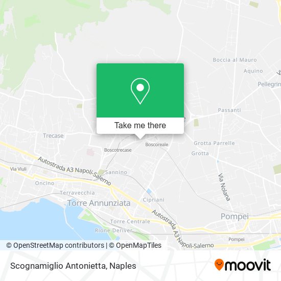 Scognamiglio Antonietta map