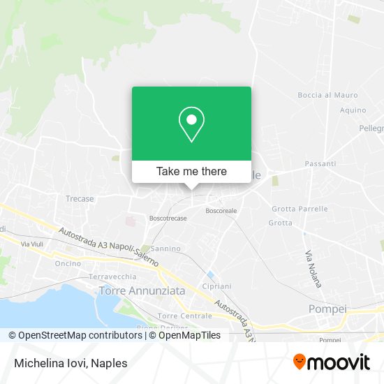 Michelina Iovi map