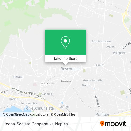Icona. Societa' Cooperativa map