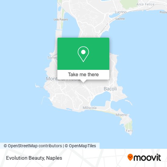 Evolution Beauty map