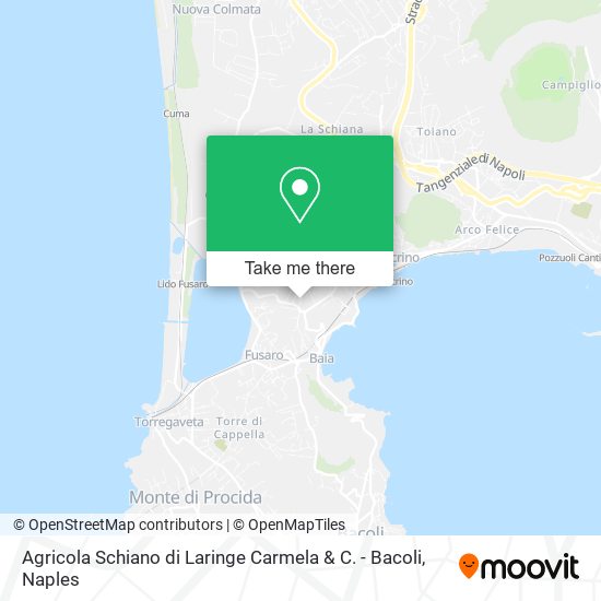 Agricola Schiano di Laringe Carmela & C. - Bacoli map
