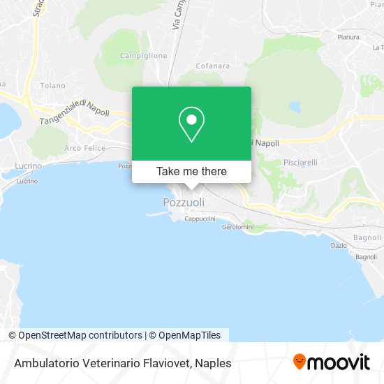 Ambulatorio Veterinario Flaviovet map