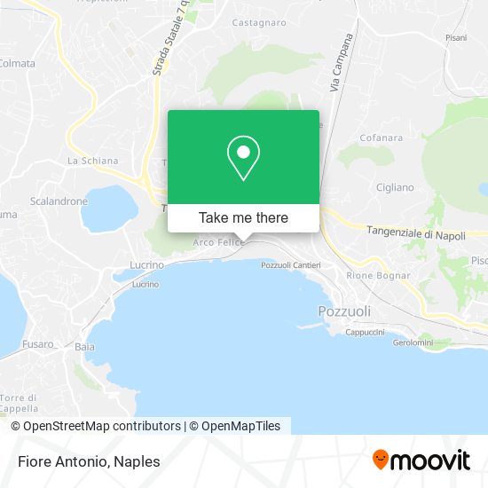 Fiore Antonio map