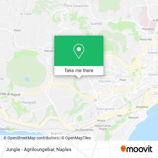 Jungle - Agriloungebar map