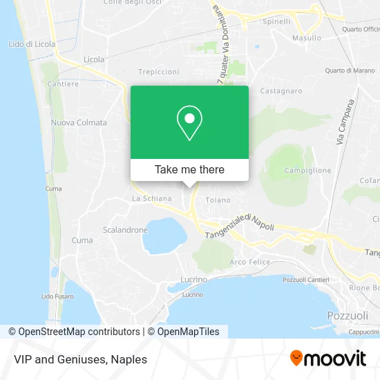 VIP and Geniuses map