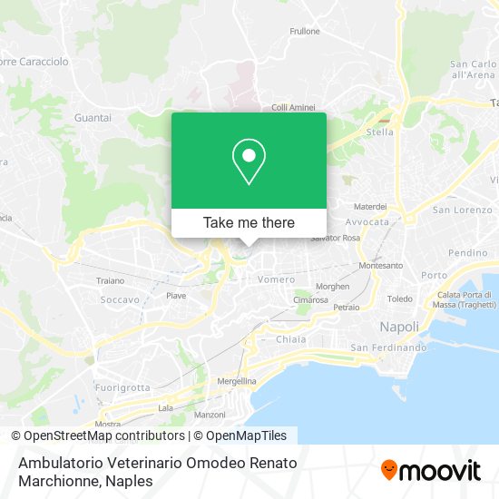 Ambulatorio Veterinario Omodeo Renato Marchionne map