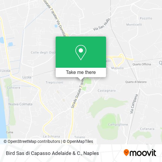 Bird Sas di Capasso Adelaide & C. map