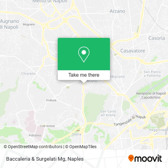 Baccaleria & Surgelati Mg map