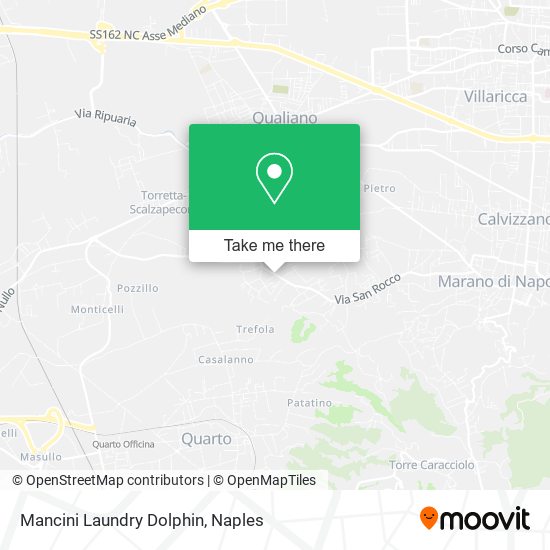 Mancini Laundry Dolphin map