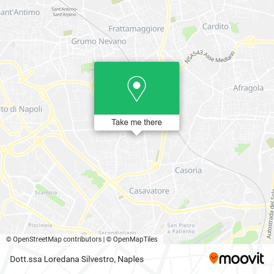 Dott.ssa Loredana Silvestro map