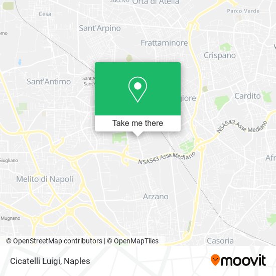 Cicatelli Luigi map