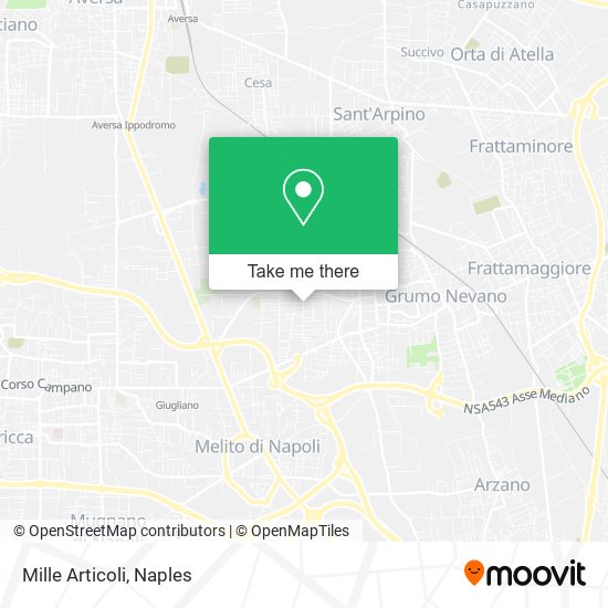 Mille Articoli map