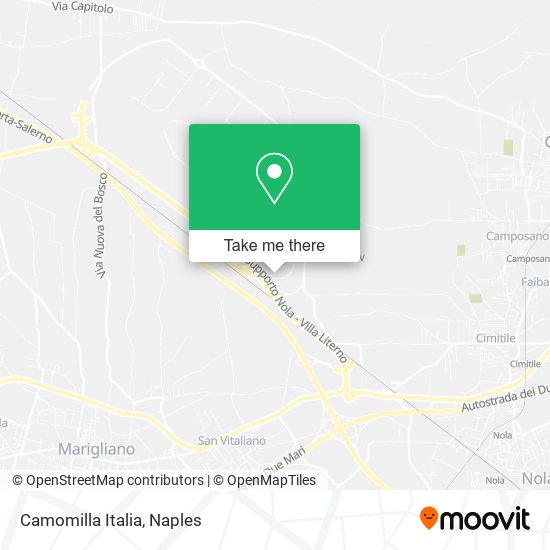 Camomilla Italia map