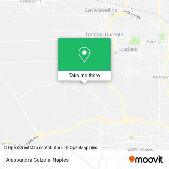 Alessandra Calzola map