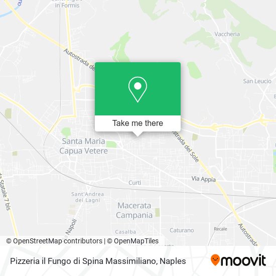 Pizzeria il Fungo di Spina Massimiliano map
