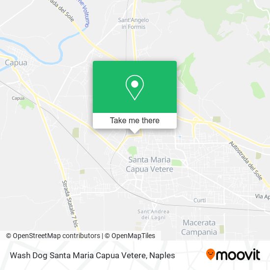 Wash Dog Santa Maria Capua Vetere map