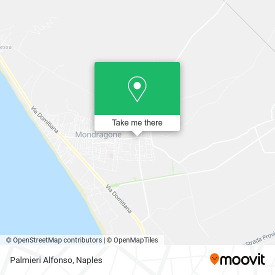 Palmieri Alfonso map