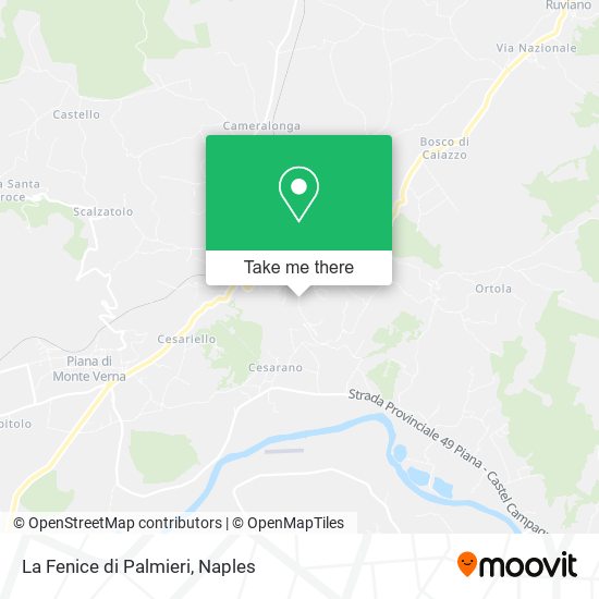 La Fenice di Palmieri map