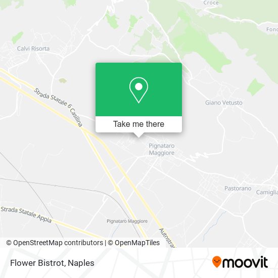 Flower Bistrot map