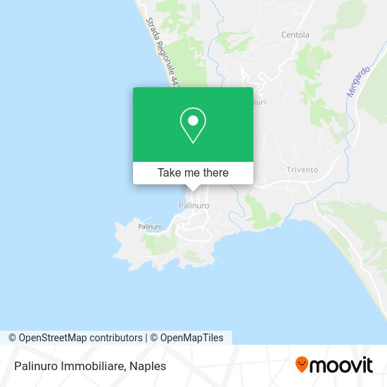 Palinuro Immobiliare map