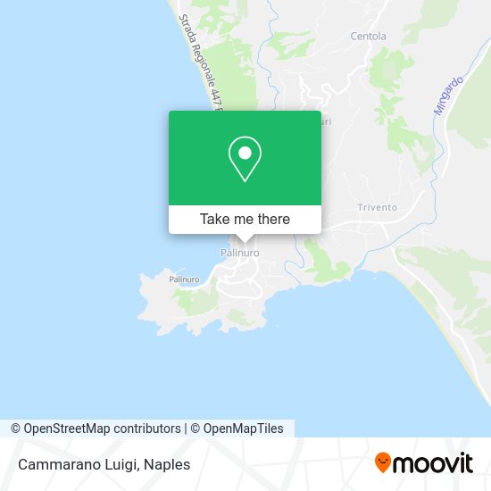 Cammarano Luigi map