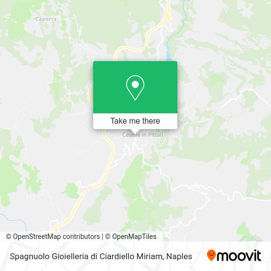 Spagnuolo Gioielleria di Ciardiello Miriam map