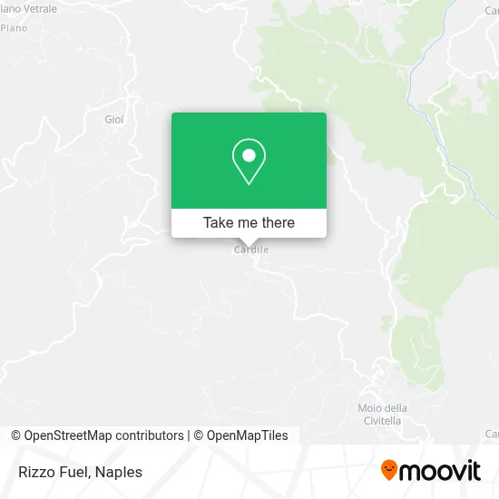Rizzo Fuel map
