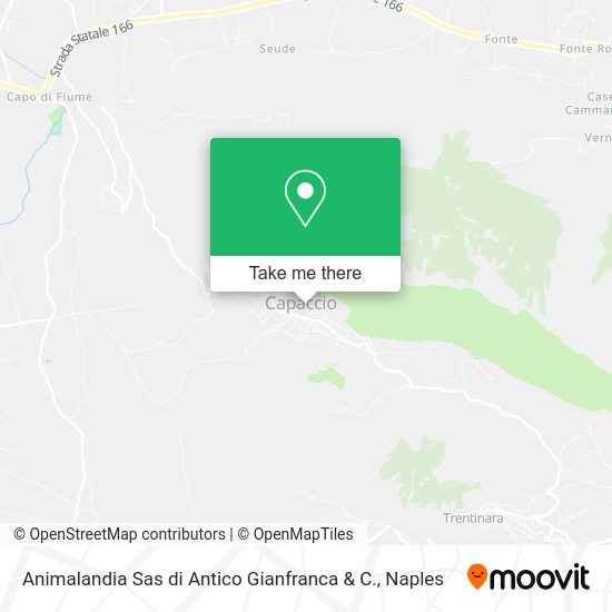 Animalandia Sas di Antico Gianfranca & C. map