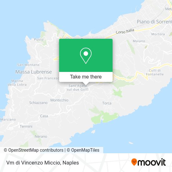 Vm di Vincenzo Miccio map