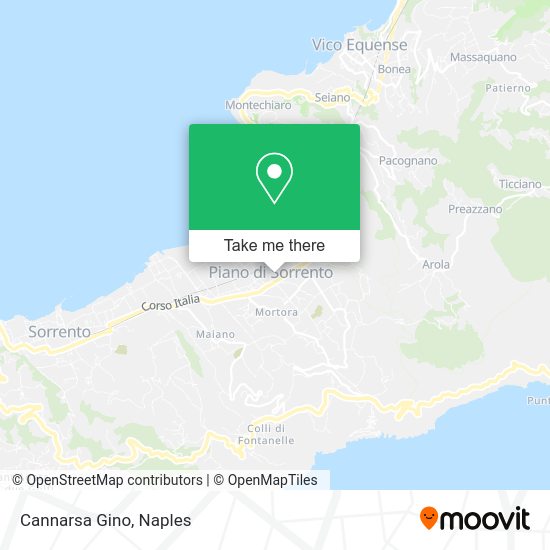 Cannarsa Gino map