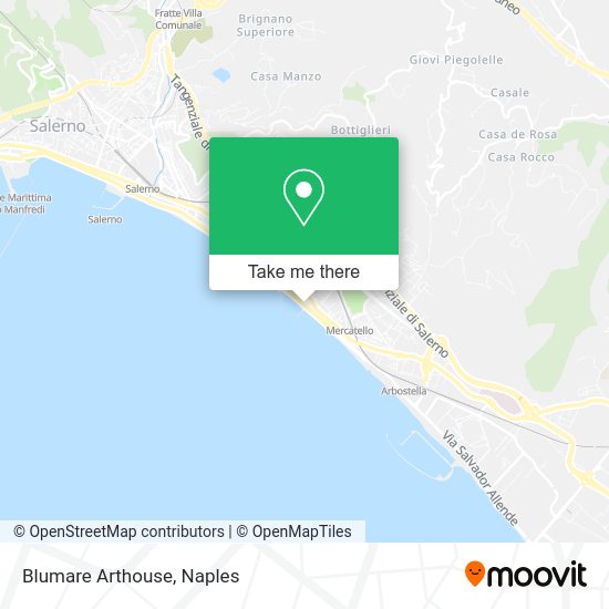 Blumare Arthouse map
