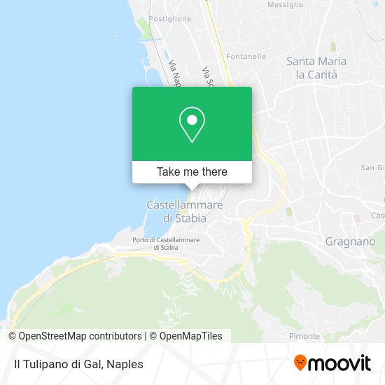Il Tulipano di Gal map