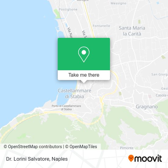Dr. Lorini Salvatore map