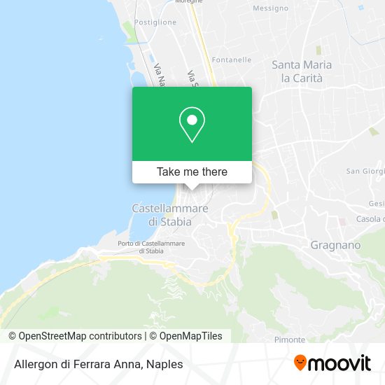 Allergon di Ferrara Anna map