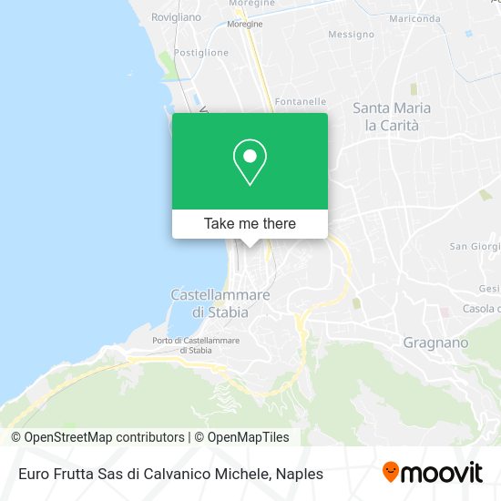 Euro Frutta Sas di Calvanico Michele map