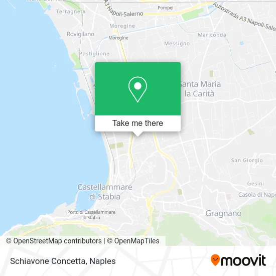 Schiavone Concetta map